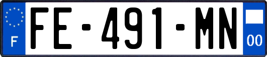 FE-491-MN