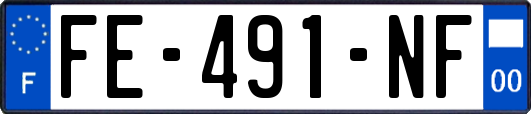 FE-491-NF