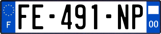 FE-491-NP