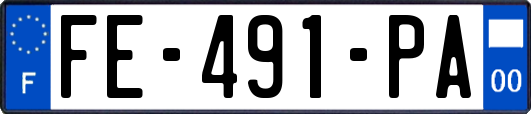 FE-491-PA
