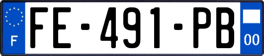 FE-491-PB