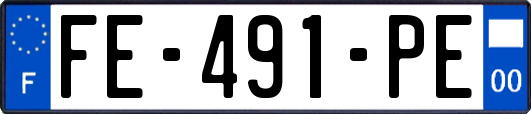 FE-491-PE