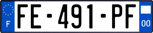 FE-491-PF