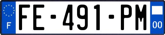 FE-491-PM