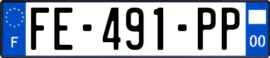 FE-491-PP
