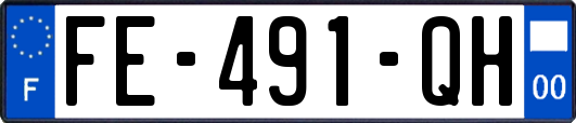 FE-491-QH