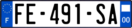 FE-491-SA