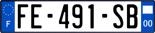 FE-491-SB