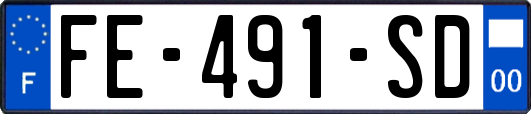 FE-491-SD