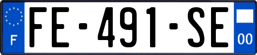 FE-491-SE