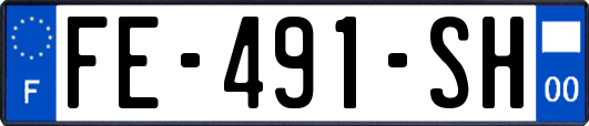 FE-491-SH