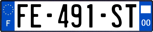FE-491-ST
