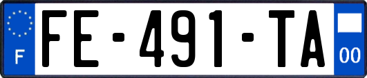 FE-491-TA