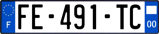 FE-491-TC