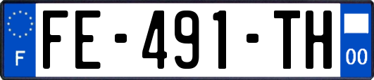 FE-491-TH