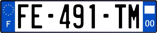 FE-491-TM