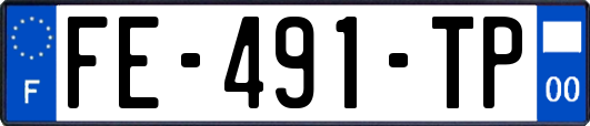 FE-491-TP