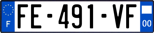 FE-491-VF