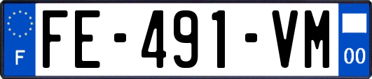 FE-491-VM