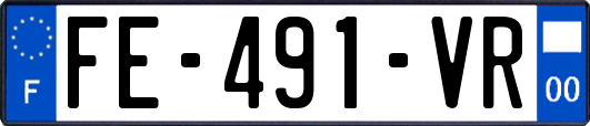 FE-491-VR
