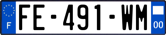FE-491-WM