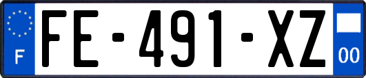 FE-491-XZ