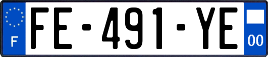 FE-491-YE