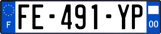FE-491-YP