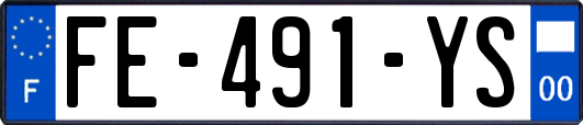 FE-491-YS