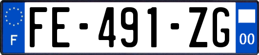 FE-491-ZG