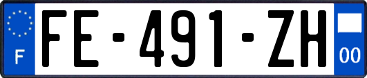 FE-491-ZH