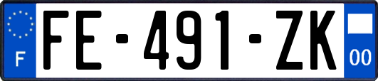 FE-491-ZK