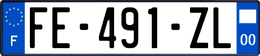 FE-491-ZL