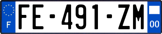 FE-491-ZM