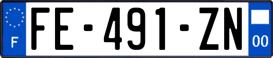 FE-491-ZN