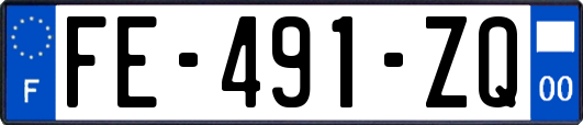 FE-491-ZQ