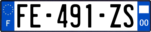 FE-491-ZS