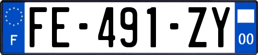 FE-491-ZY