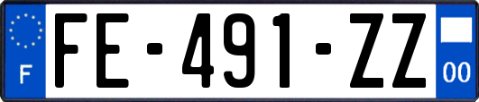 FE-491-ZZ