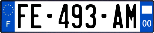 FE-493-AM