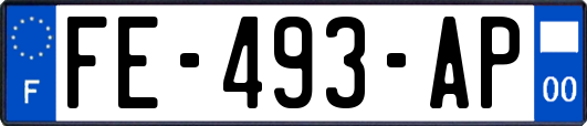 FE-493-AP