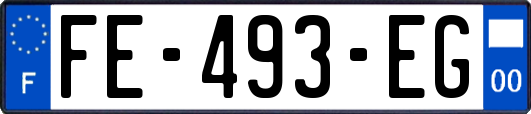 FE-493-EG