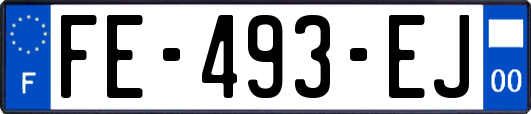 FE-493-EJ