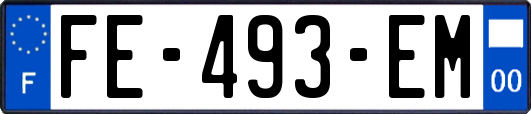 FE-493-EM