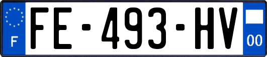 FE-493-HV