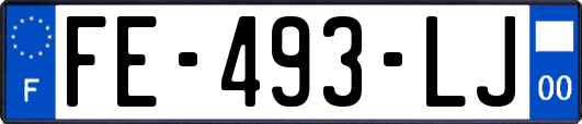 FE-493-LJ