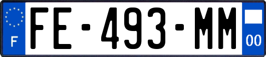 FE-493-MM