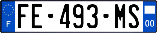 FE-493-MS