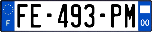 FE-493-PM