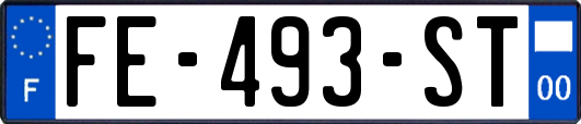 FE-493-ST